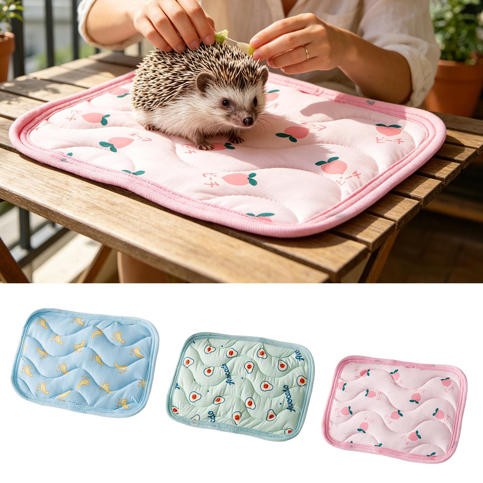 Pet Cooling Mat Washable Small - Outdoor Camping Dog Bed ulasan dan harga