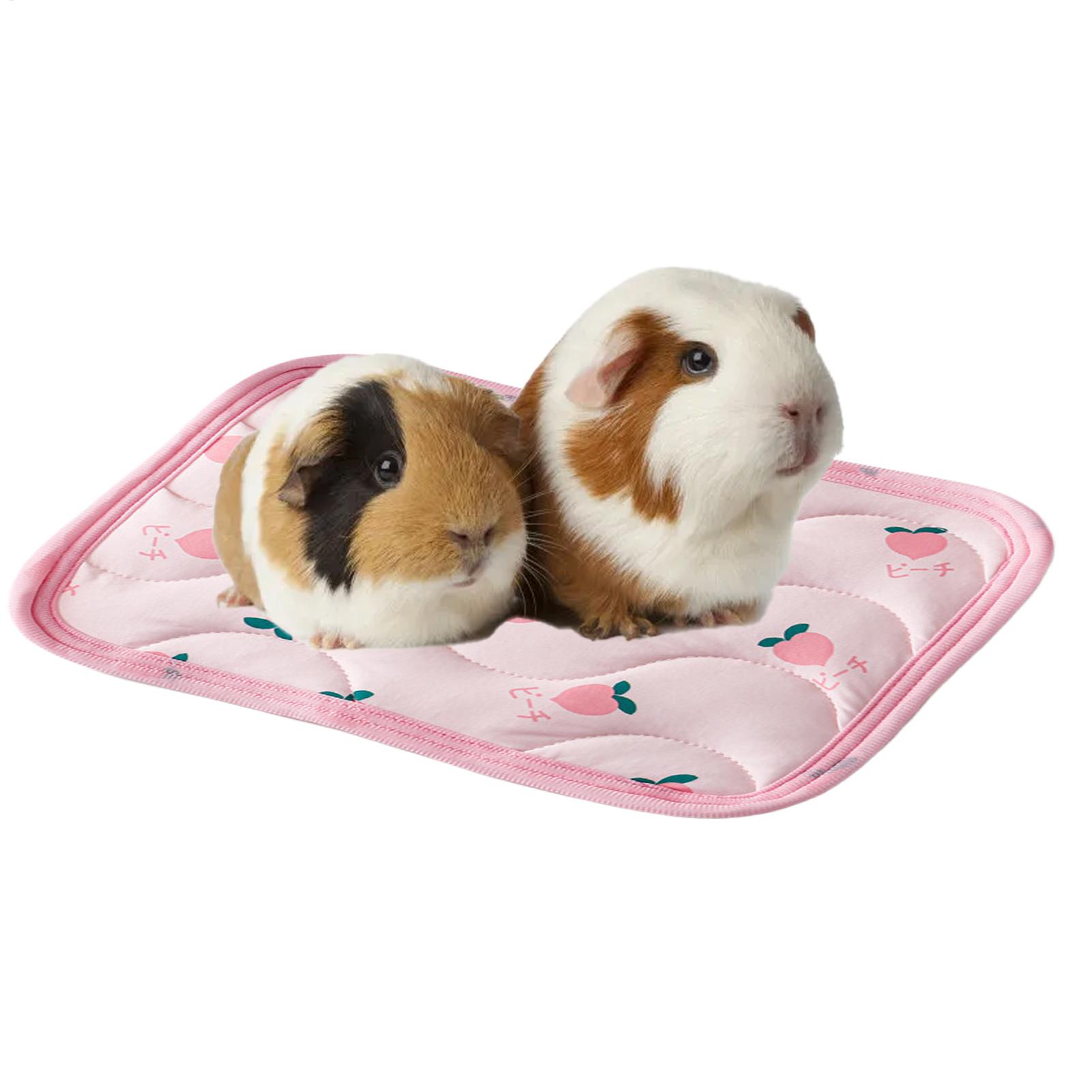 Pet Cooling Mat Washable Small - Outdoor Camping Dog Bed ulasan dan harga