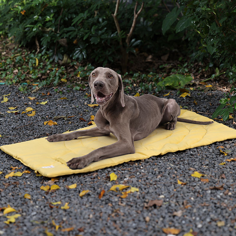 Portable Pet Mat Foldable Pet  - Outdoor Camping Dog Bed ulasan dan harga